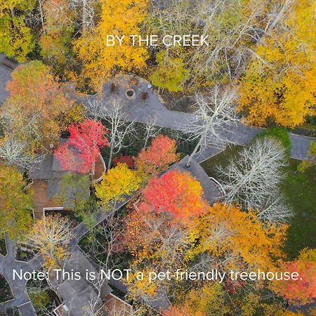 הוילה גטלינבורג The Dogwood In Treehouse Grove At Norton Creek מראה חיצוני תמונה