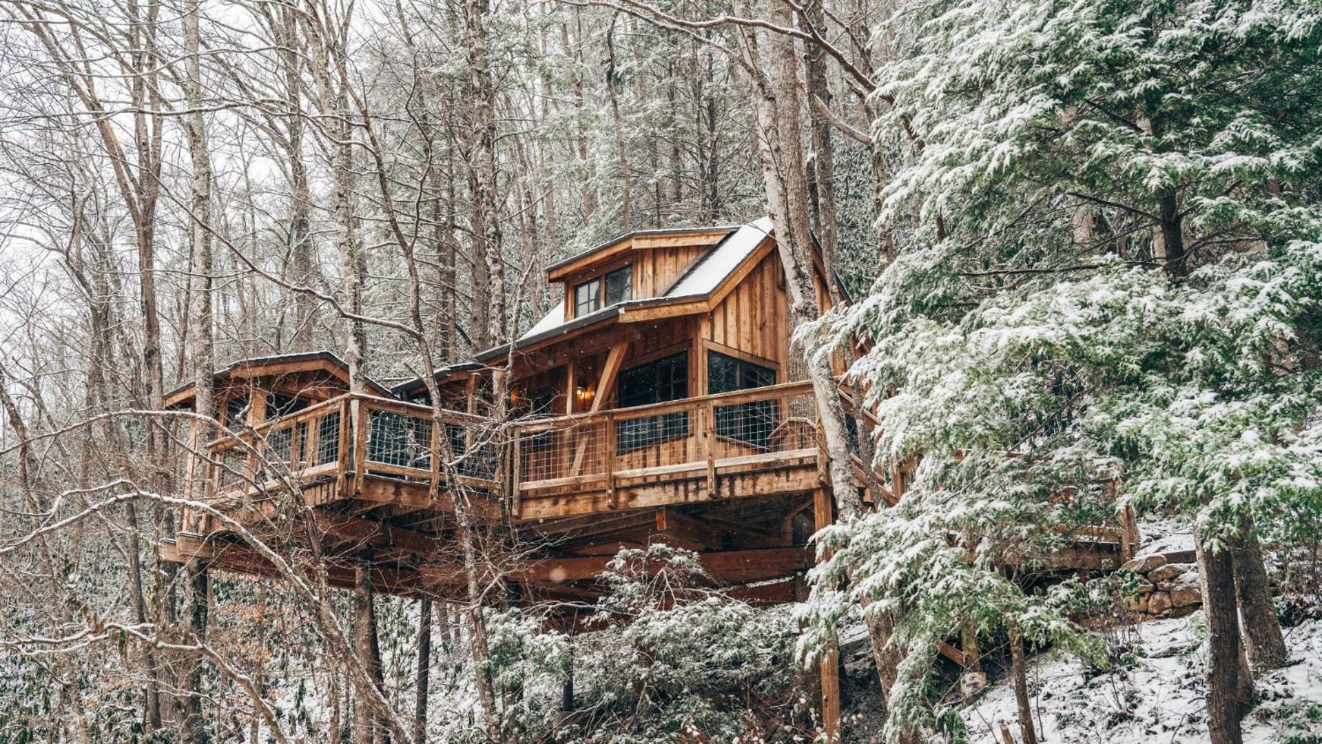 הוילה גטלינבורג The Dogwood In Treehouse Grove At Norton Creek מראה חיצוני תמונה