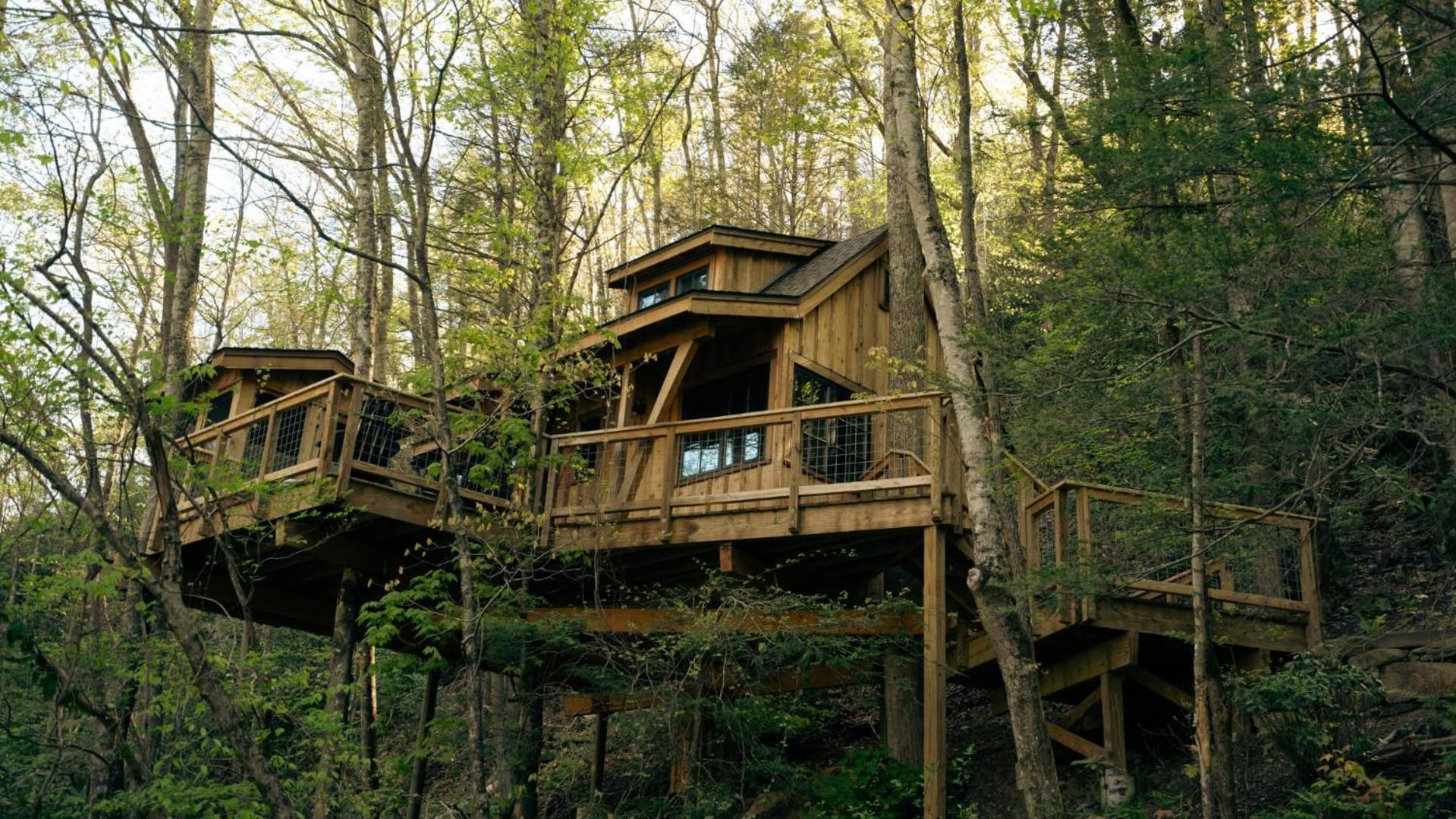 הוילה גטלינבורג The Dogwood In Treehouse Grove At Norton Creek מראה חיצוני תמונה