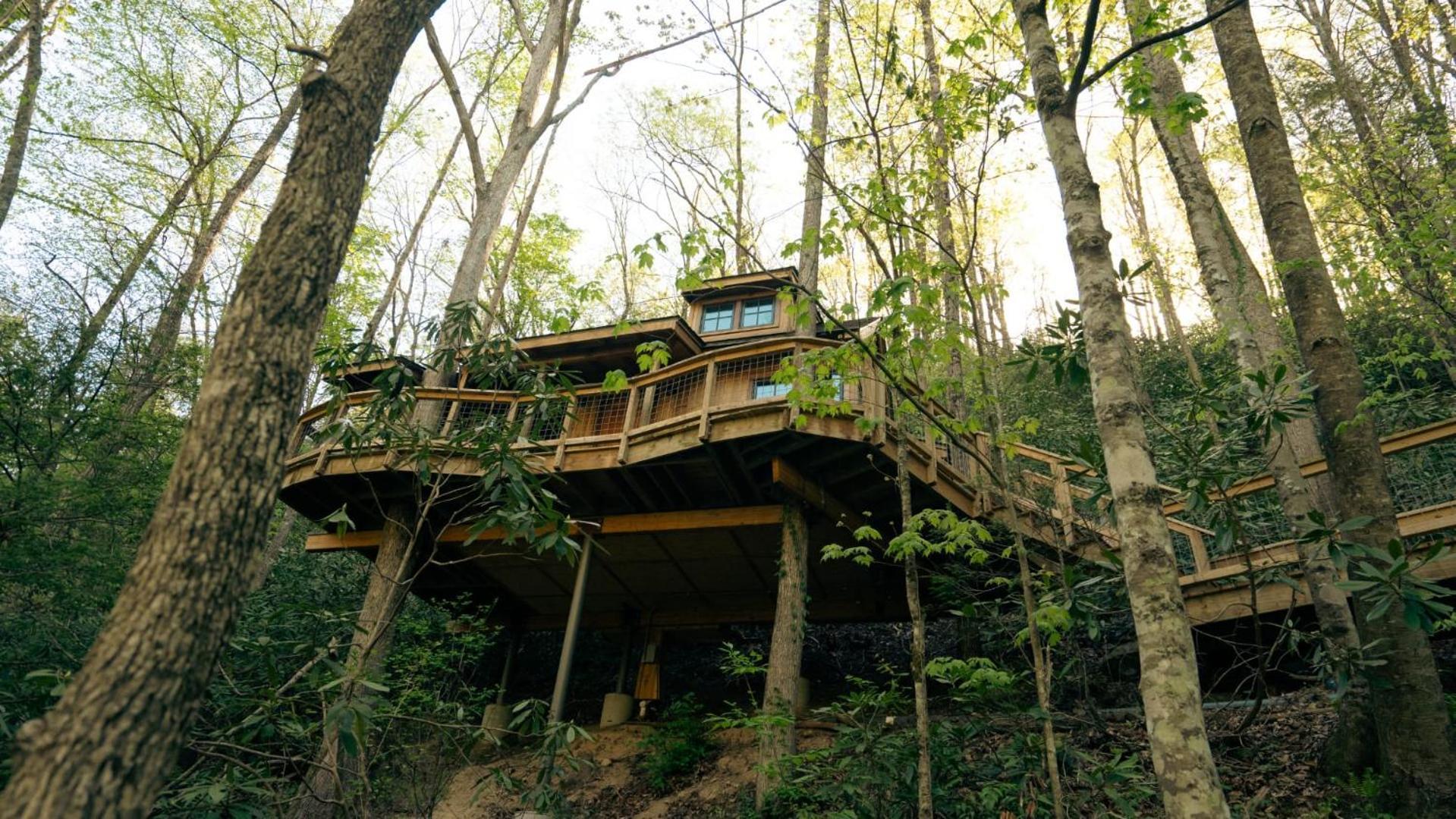 הוילה גטלינבורג The Dogwood In Treehouse Grove At Norton Creek מראה חיצוני תמונה