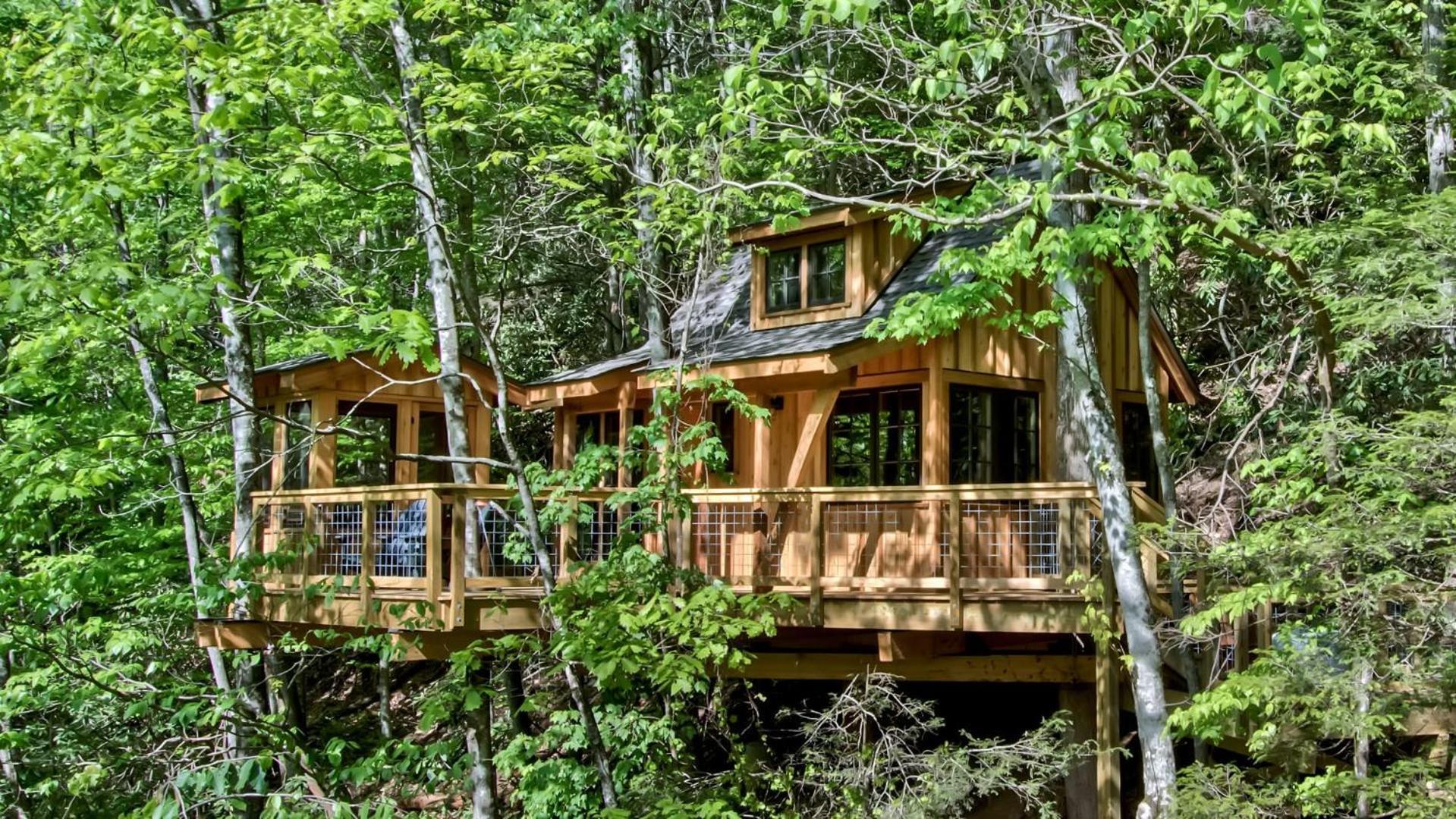 הוילה גטלינבורג The Dogwood In Treehouse Grove At Norton Creek מראה חיצוני תמונה