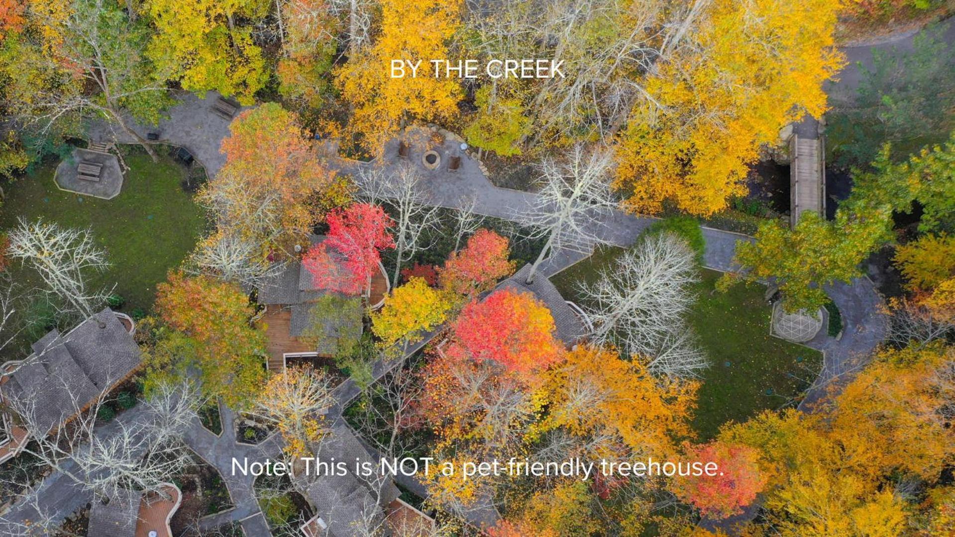 הוילה גטלינבורג The Dogwood In Treehouse Grove At Norton Creek מראה חיצוני תמונה